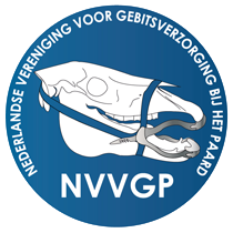 nvvgp-logo